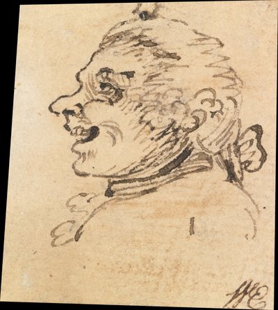 Grotesque Male Head by William Hogarth